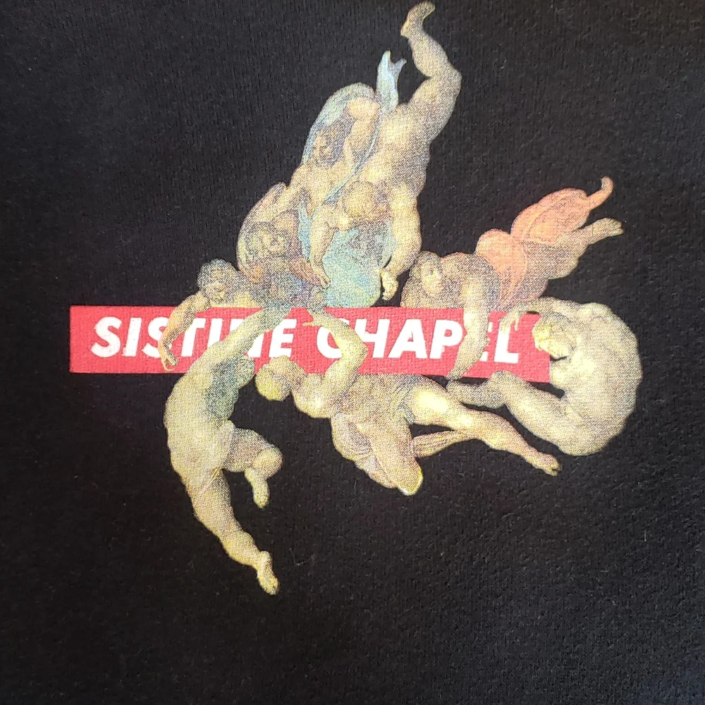 ZARA WOMAN SISTINE CHAPEL CROPPED BLACK SWEATSHIRT HOODIE SIZE MEDIUM - Picture 4 of 13